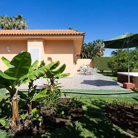 Finca La Gaviota - Los Limoneros Icod De Los Vinos Εξωτερικό φωτογραφία