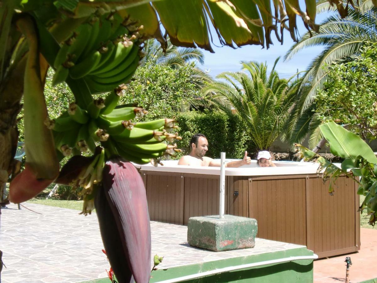 Finca La Gaviota - Los Limoneros Icod De Los Vinos Εξωτερικό φωτογραφία