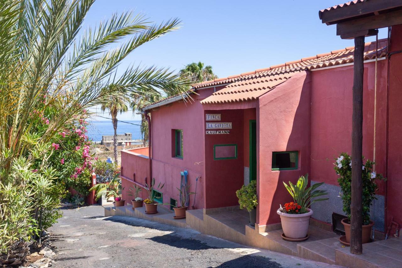 Finca La Gaviota - Los Limoneros Icod De Los Vinos Εξωτερικό φωτογραφία